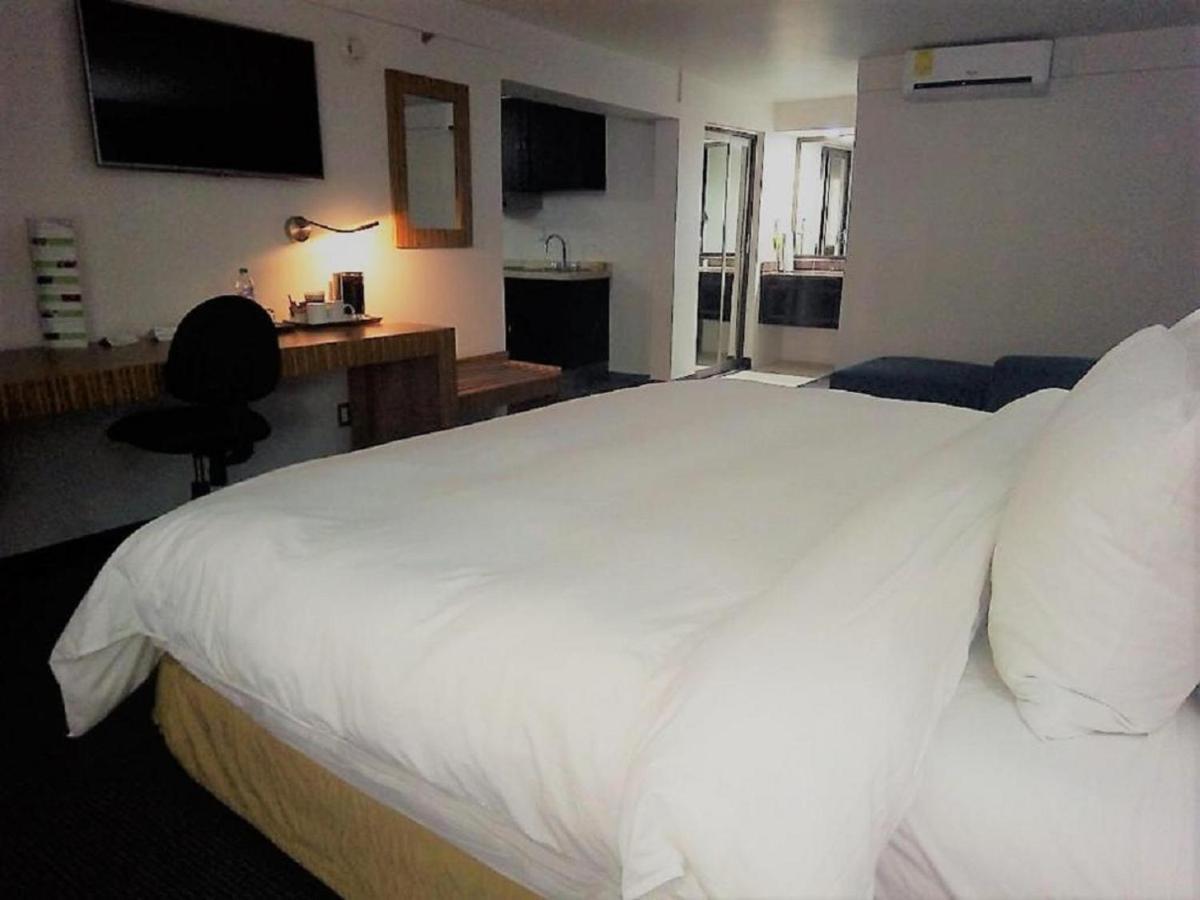 Radisson Hotel & Convention Center 托卢卡 外观 照片